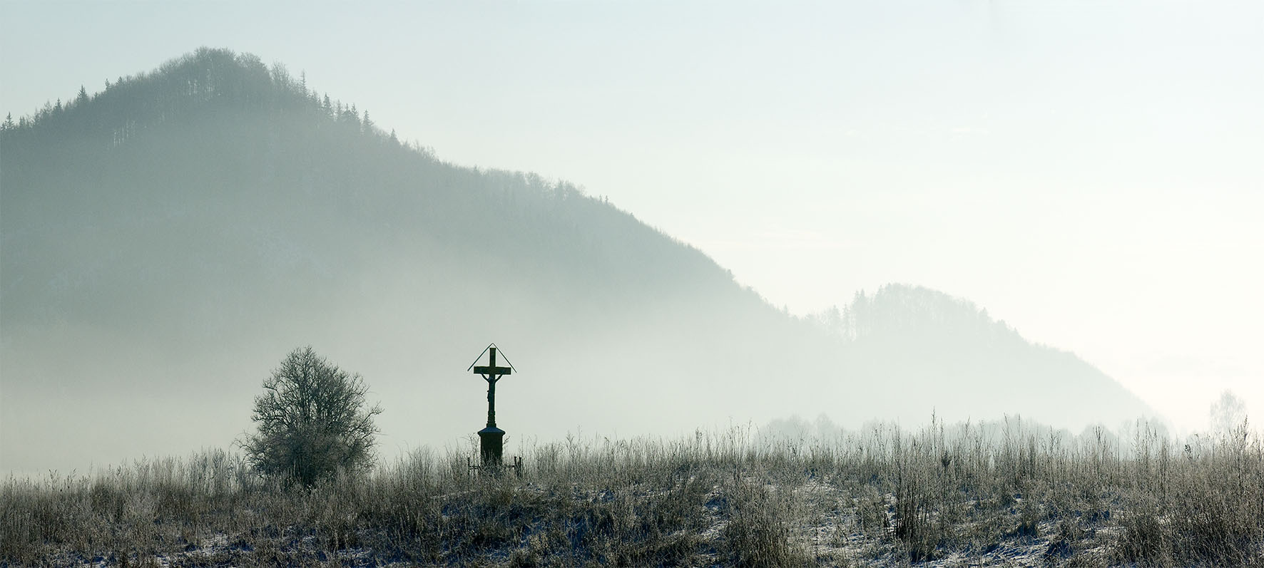 fot. Tomasz Gmerek