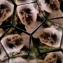 DSC01512.jpg